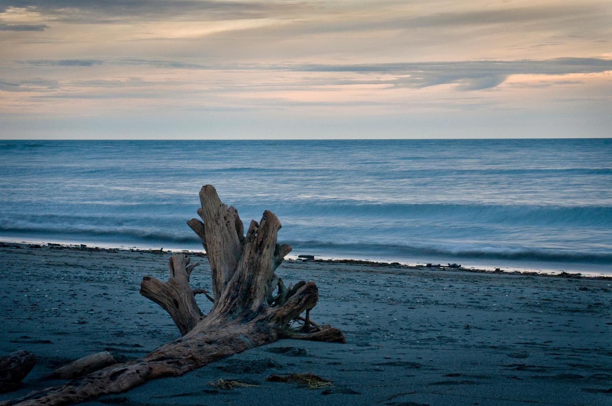 Paroa Hotel Greymouth Kültér fotó